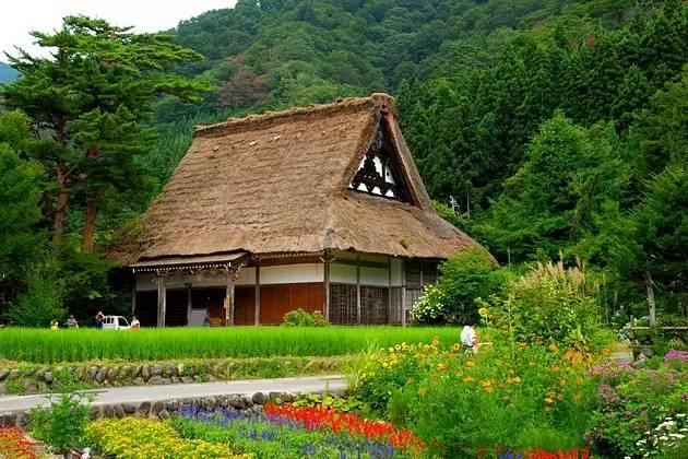 看了真实的日本农村,给我国乡村旅游旅游带来哪些启发?
