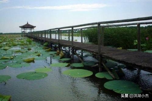 来洪湖带你品尝不一样的美食，来洪湖旅游带你感受不一样的夏天