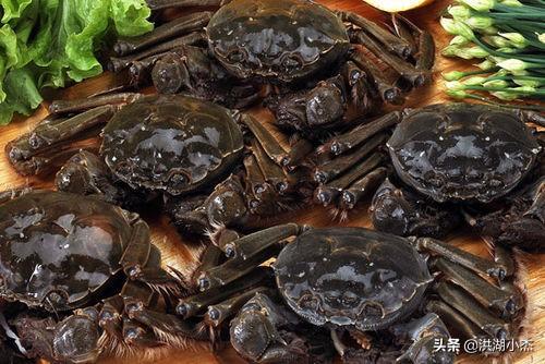 鱼米之乡，洪湖美食 怀恋家乡的美食