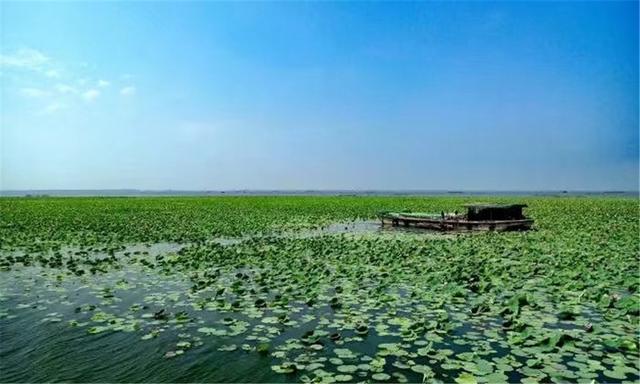 首届“湖北避暑旅游目的地”候选单位——洪湖生态旅游风景区