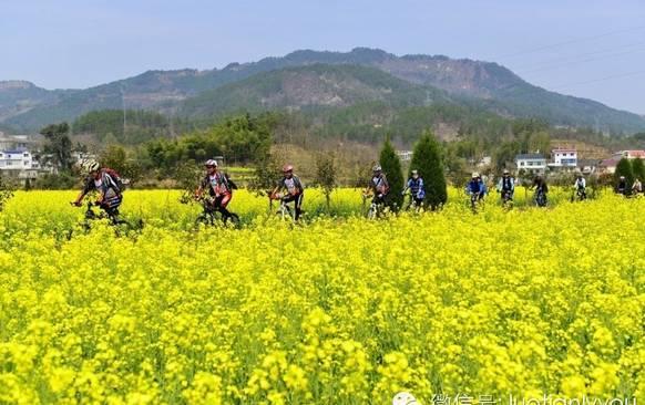 湖北省“国家级乡村旅游”示范地，别样风景系列之四—罗田、洪湖