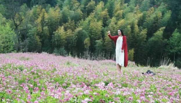 湖北省“国家级乡村旅游”示范地，别样风景系列之四—罗田、洪湖