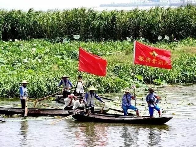 洪湖一日游-洪湖一日游团购-洪湖旅游攻略（洪湖蓝田一日游）