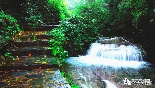 黄石十大必去的旅游景点,您最想去哪儿?