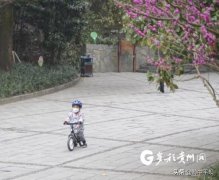 今天夜间到明天白天，省