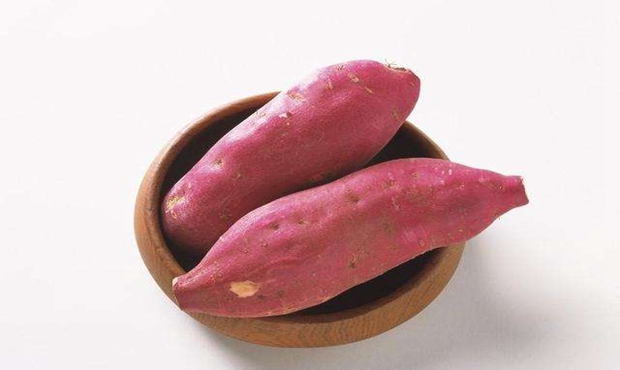 红薯7.jpg