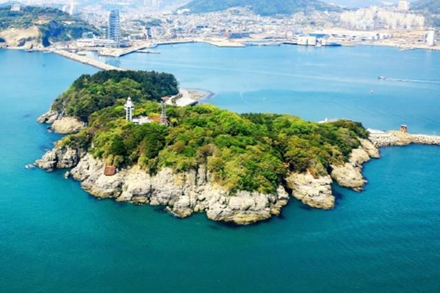 韩国旅游:去济州岛、梧桐岛赏花看海超很有意境,有时间就去吧