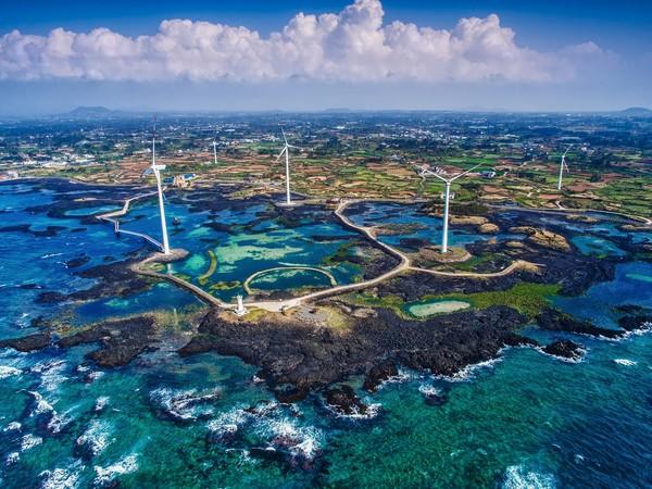 韩国旅游:去济州岛、梧桐岛赏花看海超很有意境,有时间就去吧