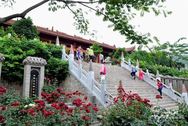 河南最值得去的十大旅游景点:没有门票,吃住都不贵!自驾直达