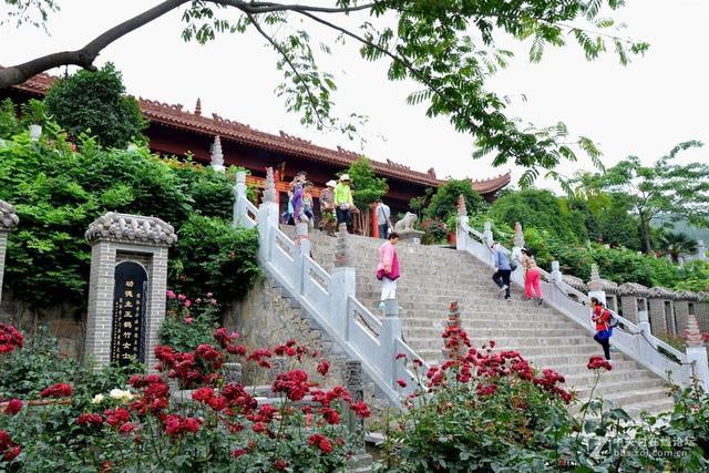 河南最值得去的十大旅游景点：没有门票，吃住都不贵！自驾直达