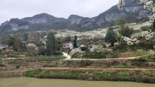 清明节期间 贵州大部分地区多云天气为主 注意防范森林火灾