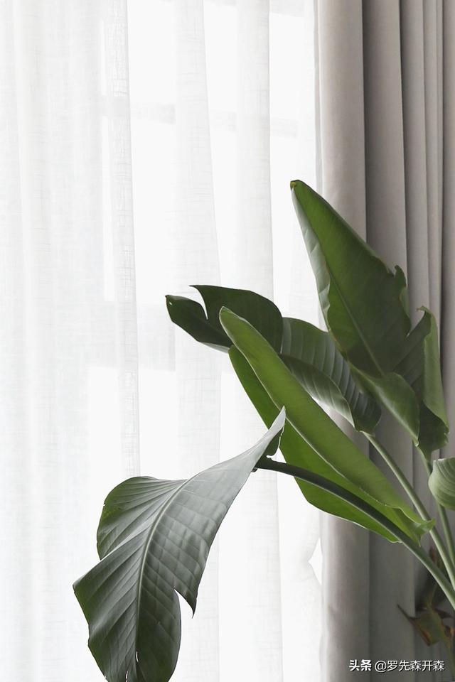 87㎡简约北欧风家居设计实景;无多余的繁琐设计,空间自然舒适
