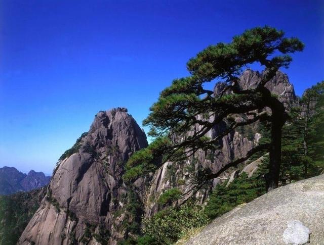 中国最美的海滨旅游城市,风景优美,气候宜人