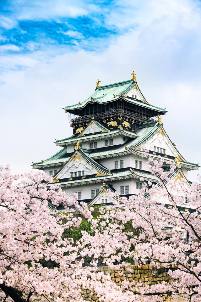 漫步在粉色的花海,你知道和不知道的关西拍樱好去处