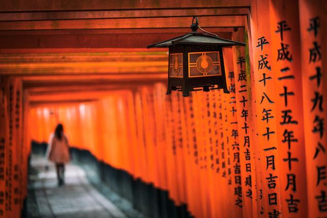 漫步在粉色的花海,你知道和不知道的关西拍樱好去处