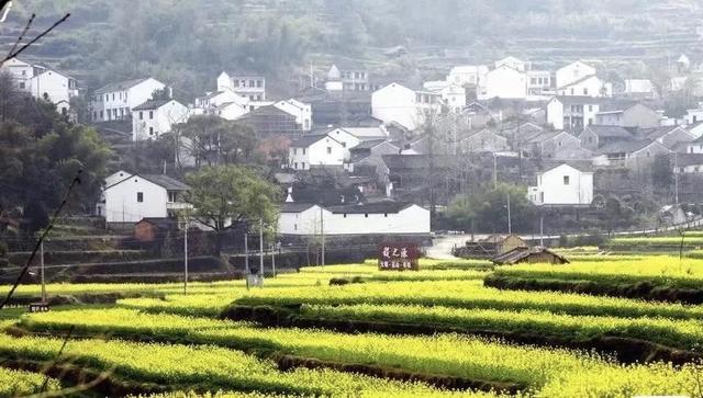 踏春赏花去!盘点婺源之外的小众油菜花田,说不定就在你家跟前