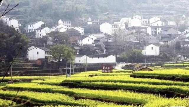 踏春赏花去！盘点婺源之外的小众油菜花田，说不定就在你家跟前