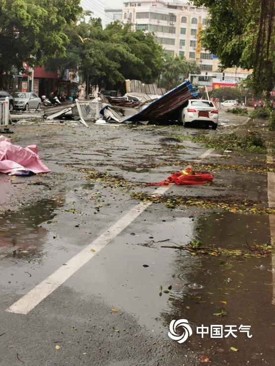 江西定南遭遇强对流 毁窗拔树冰雹满地