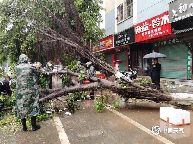 江西定南遭遇强对流 毁窗拔树冰雹满地