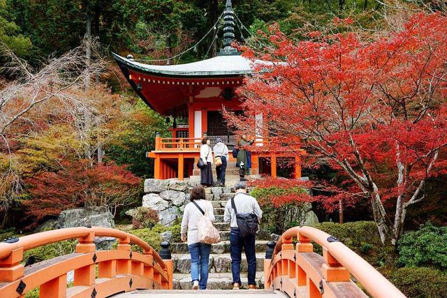 日本旅游别只惦记着樱花,醍醐寺比樱花可美多了