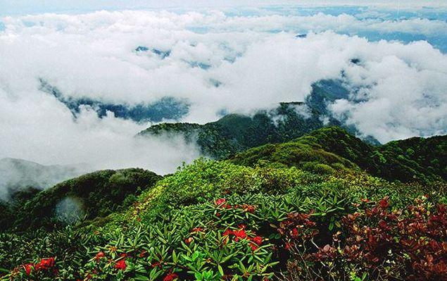 打卡云南小众旅游景点,人少,景美,原生态!#小众旅游景点