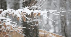 雨雪天气安全出行，你该