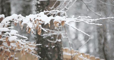 「小贴士」雨雪天气安全出行,你该知道这些事儿!