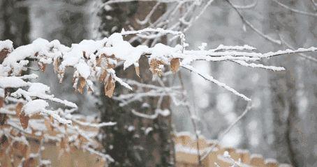 「小贴士」雨雪天气安全出行，你该知道这些事儿！