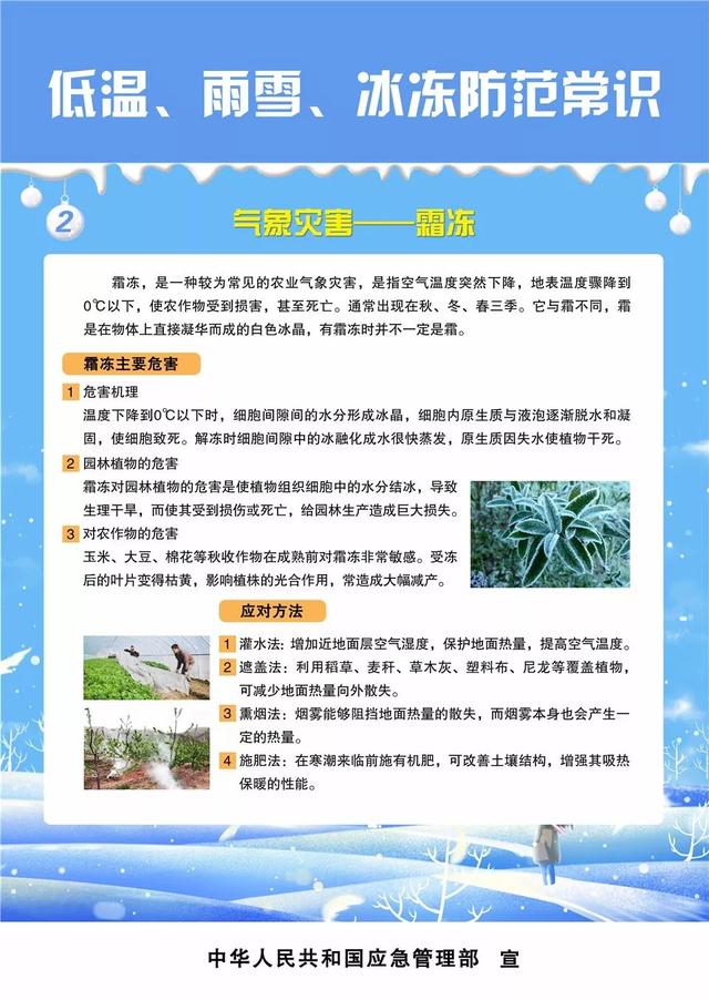 低温、雨雪天气来，这些防范常识都了解了吗？丨图片