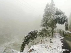 雨雪凝冻天气出行防滑小