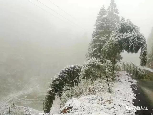 雨雪凝冻天气出行防滑小常识