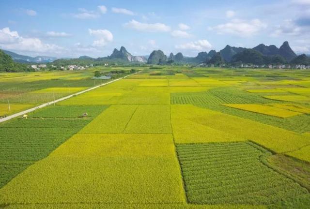 广东这一小众村落，犹如画中秘境，春秋景色各不同