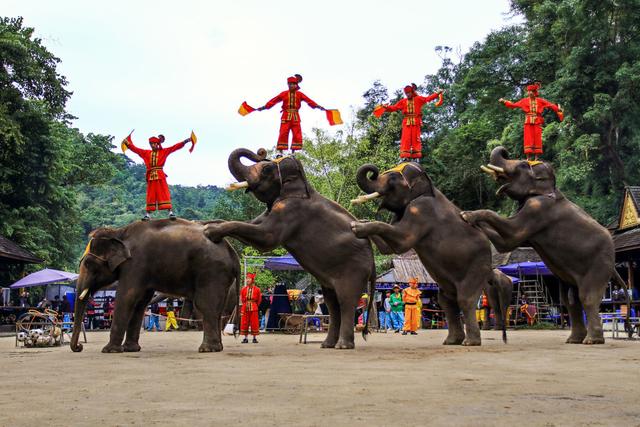 这里风景为何这么美?去了4个地方就让我魂牵梦绕,因为它是云南