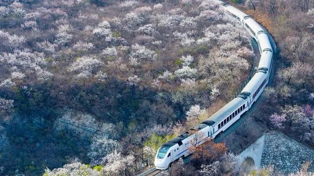 4月,这12个旅行地颜值爆表!疫情过后,让我们尽情的玩吧!