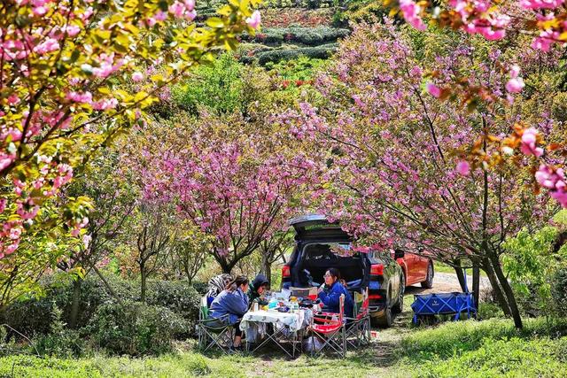 4月,这12个旅行地颜值爆表!疫情过后,让我们尽情的玩吧!