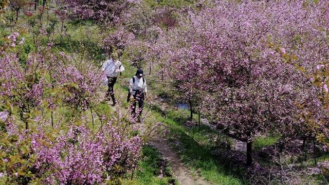 4月,这12个旅行地颜值爆表!疫情过后,让我们尽情的玩吧!