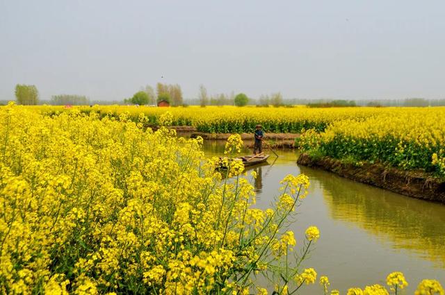 4月,这12个旅行地颜值爆表!疫情过后,让我们尽情的玩吧!