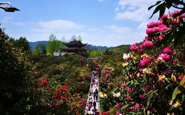 4月,这12个旅行地颜值爆表!疫情过后,让我们尽情的玩吧!