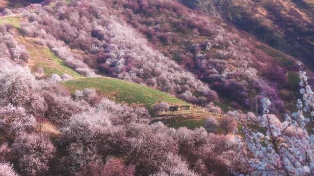 4月,这12个旅行地颜值爆表!疫情过后,让我们尽情的玩吧!