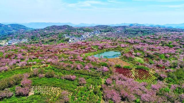 4月,这12个旅行地颜值爆表!疫情过后,让我们尽情的玩吧!