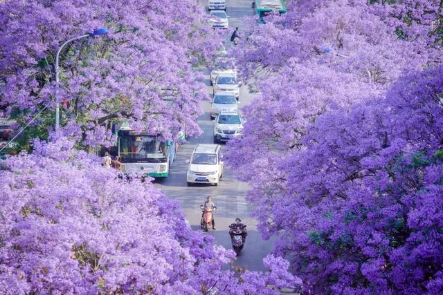 4月,这12个旅行地颜值爆表!疫情过后,让我们尽情的玩吧!