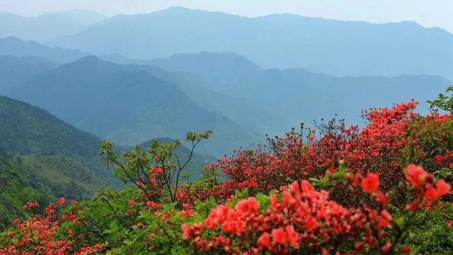 4月,这12个旅行地颜值爆表!疫情过后,让我们尽情的玩吧!