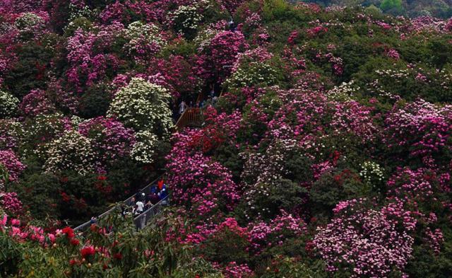 4月,这12个旅行地颜值爆表!疫情过后,让我们尽情的玩吧!