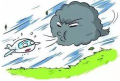 台风天气安全防范小知识