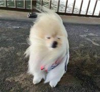大家要及时根据天气状况