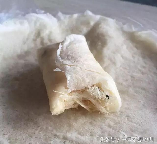 这些潮汕特有的美食,潮汕人都不一定全吃过!