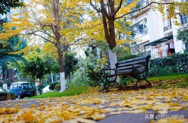 跟小区业主们谈谈,居家生活应该注意的17个问题