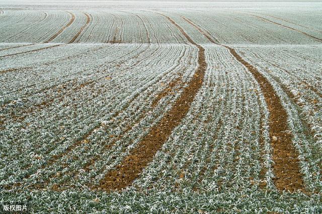 “倒春寒”如约而至，北方降温10℃伴随暴雨冰雹，农民做好预防