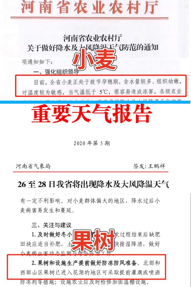 倒春寒大预警!18省份大降温来袭!小麦、果树做好预防!