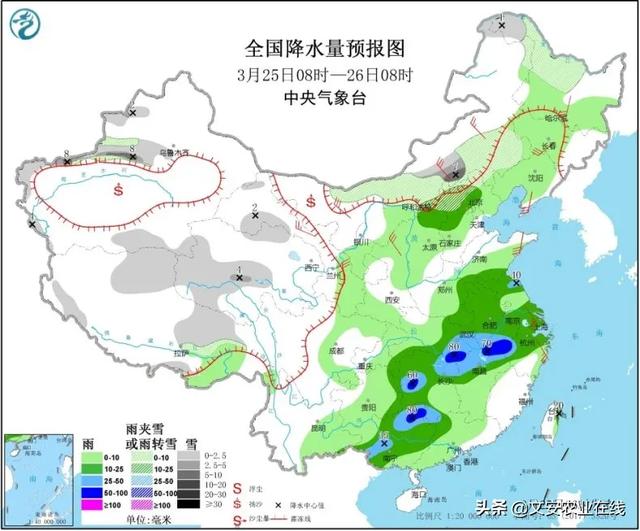 寒潮来了，最高降温12℃！小麦遭遇“倒春寒”怎么办？